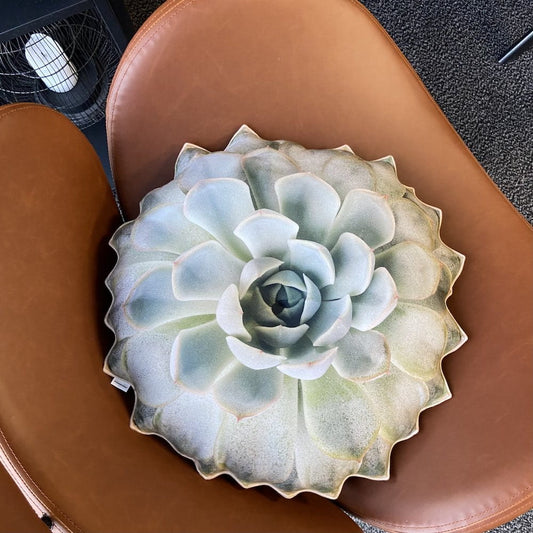 f4d1d6df15b04716dffde6ceb4a97d59