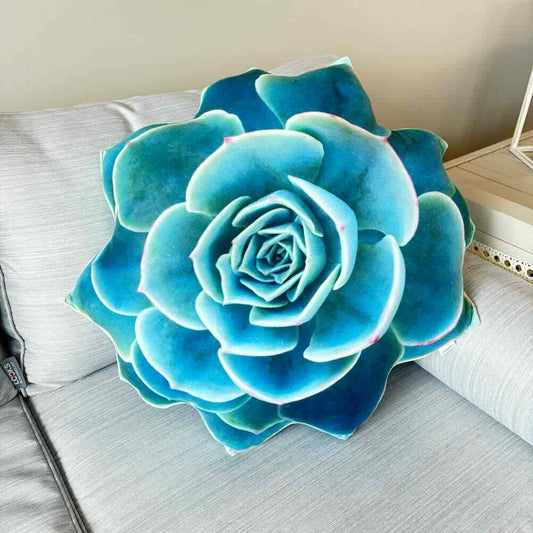 succulent pillow