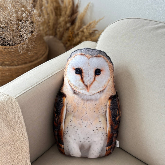 5c622e612510d2b0065aa03a600230ab