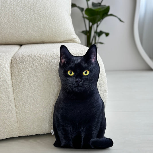 9126a01df3c51957bed3f5a2eca3b92b