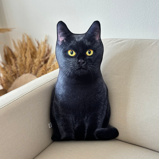 da16abe493e12d89ff9f9165103c5feb