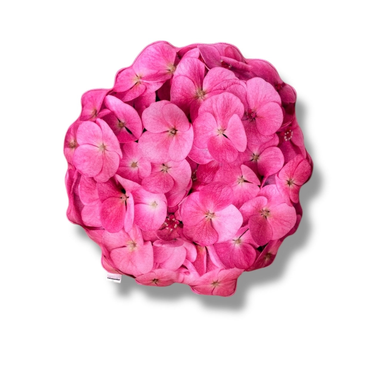 a2c4672525b097e414b73225a2262a13