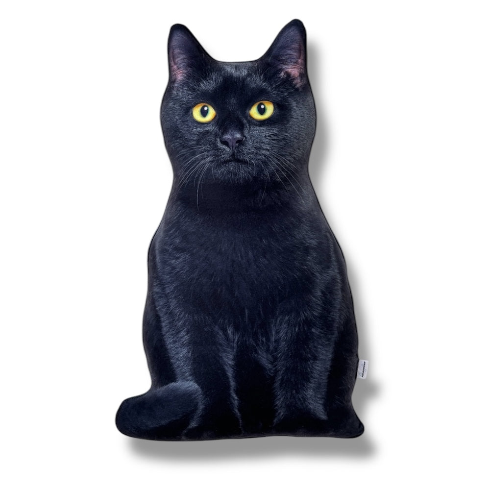 48ce63722861cf7b32a154283a31abae