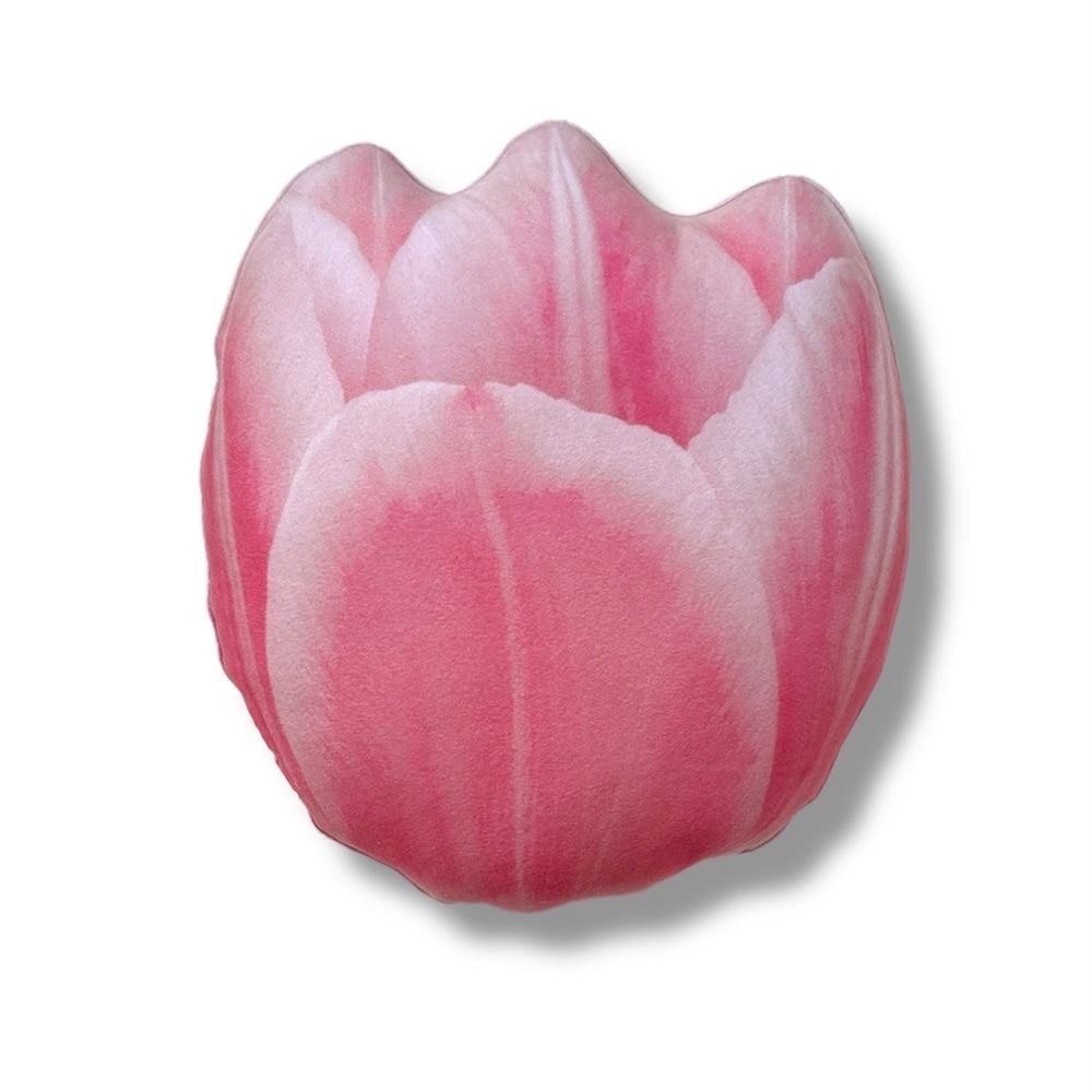 0fabe65b57cf36d984cb5ac0d1a341de