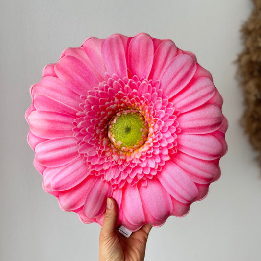 1642a8484404793f855cc35999f0ed38