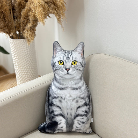 4c849adb30327216b3efb6a8ee047b70