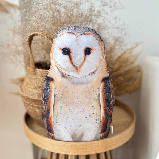 0009ef874a92934441c46459cd88eda0