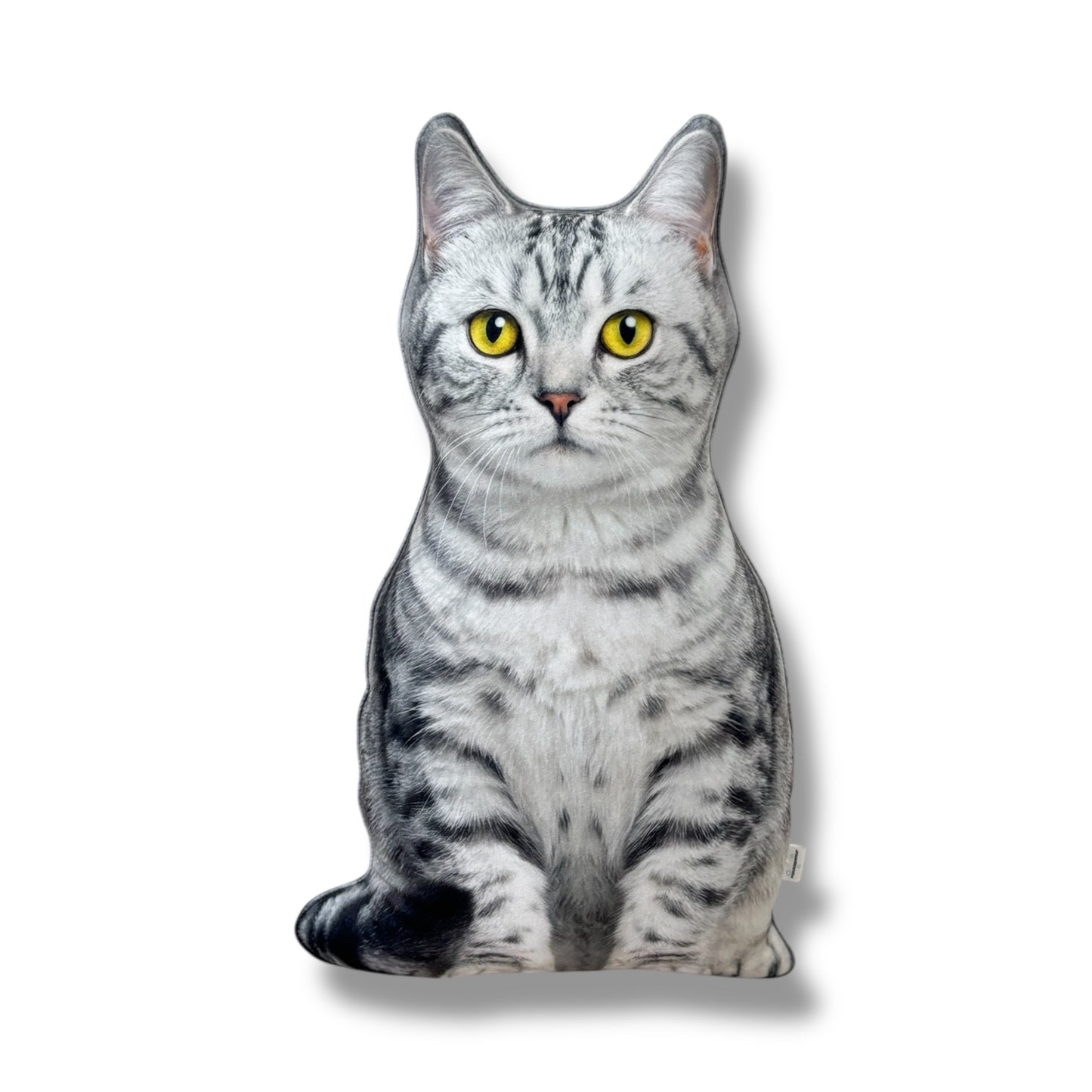 1ac171fc5dc4229deb7a283374c8d5ef