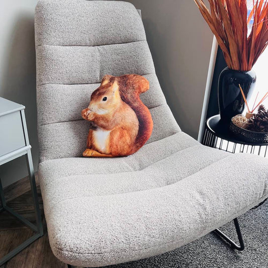 squirrel pillow