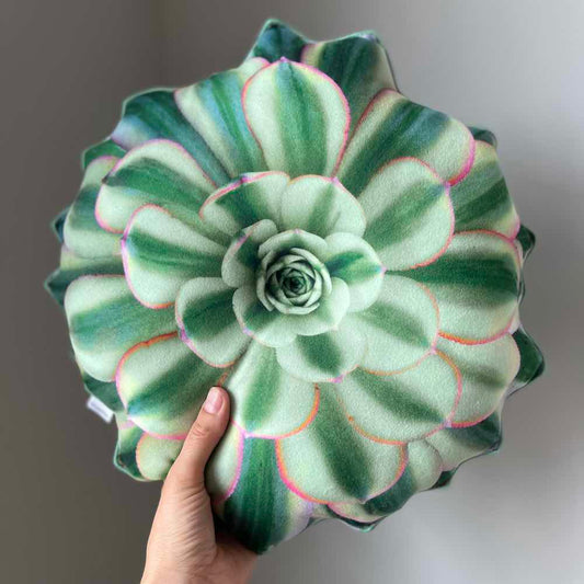 succulent pillow