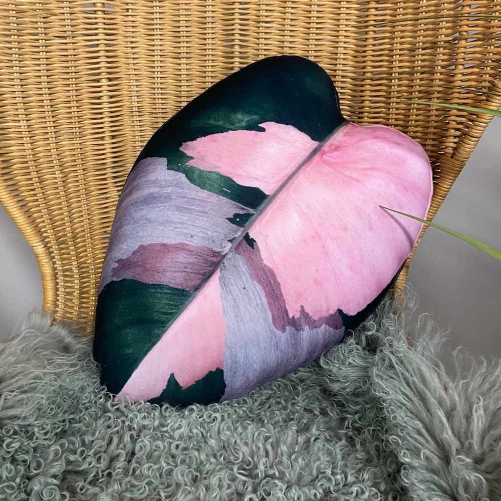 ppp philodendron Philodendron Pink Princess / PPP plant / Pink leaf / plant pillow