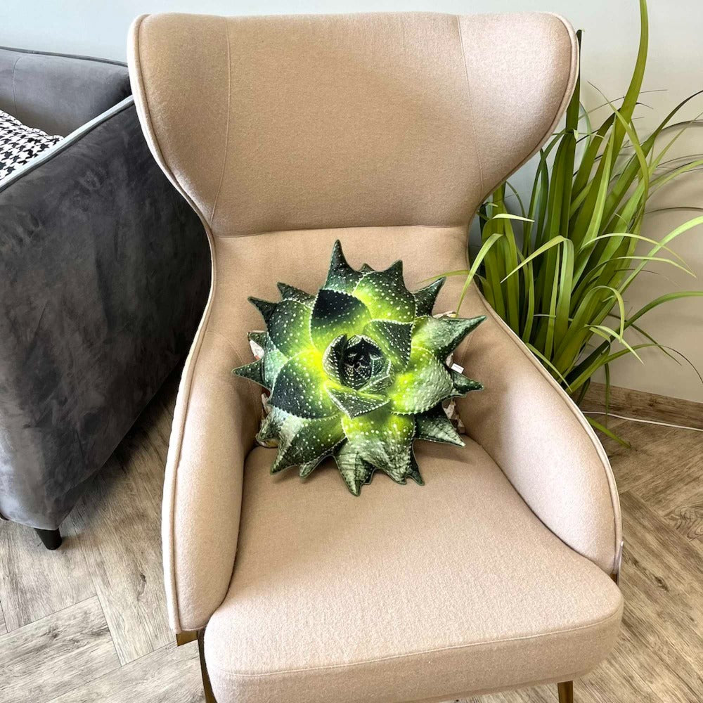 aloe green succulent