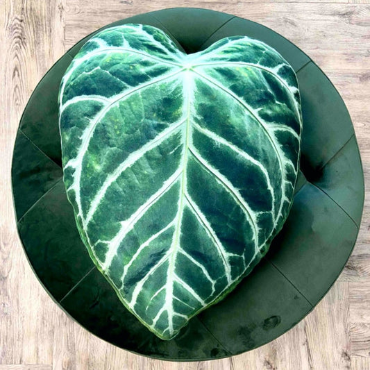 anthurium clarinervium pillow