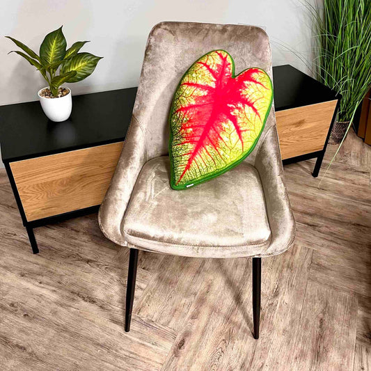Caladium pillow