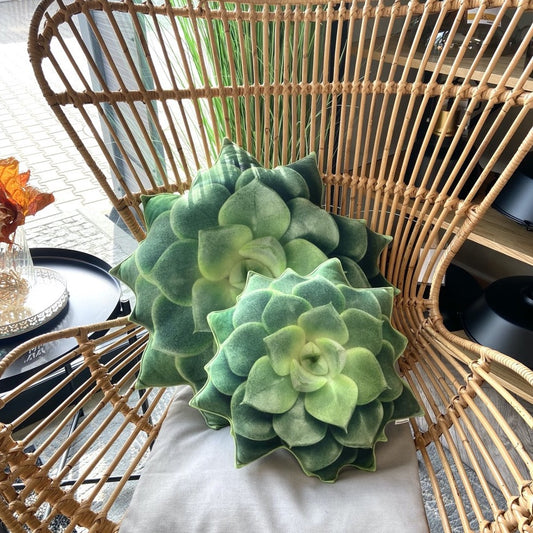 green succulent pillows