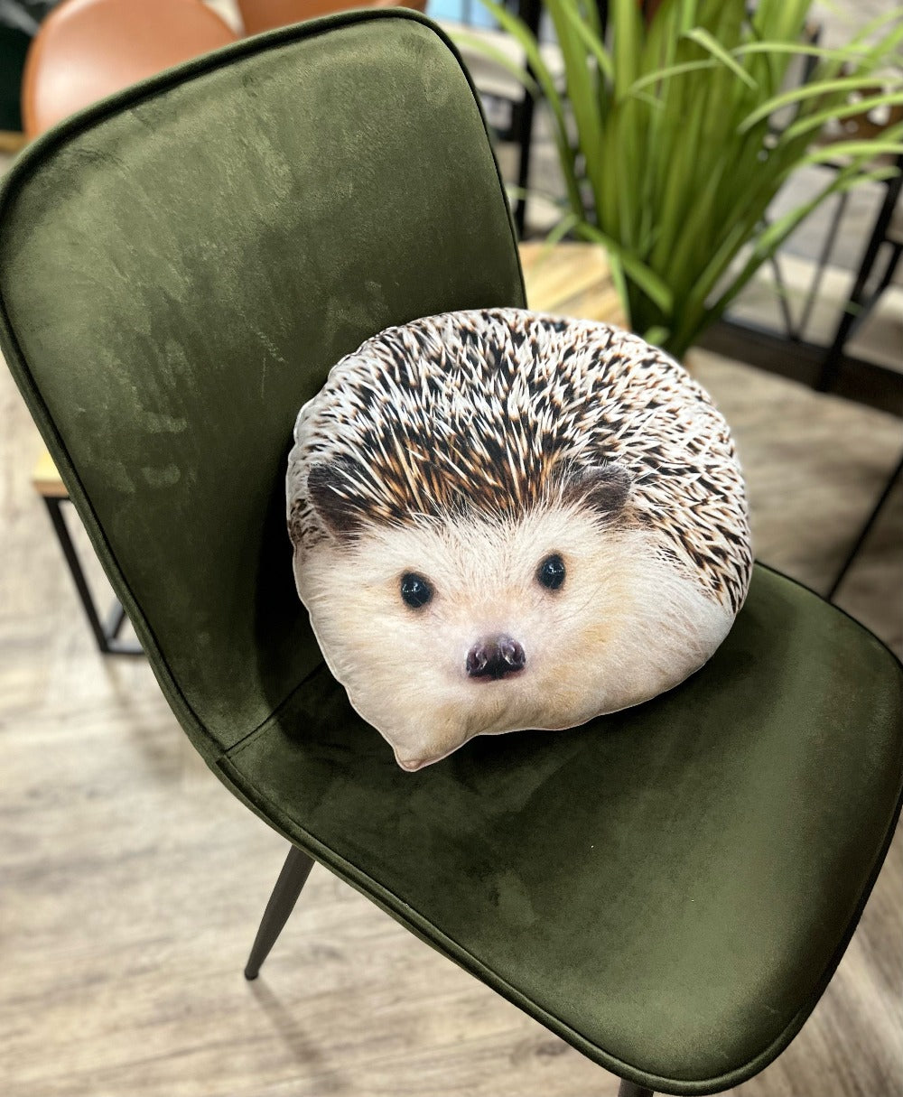 Hedgehog pillow/ hedgehog / wild animal pillow / animal pillow