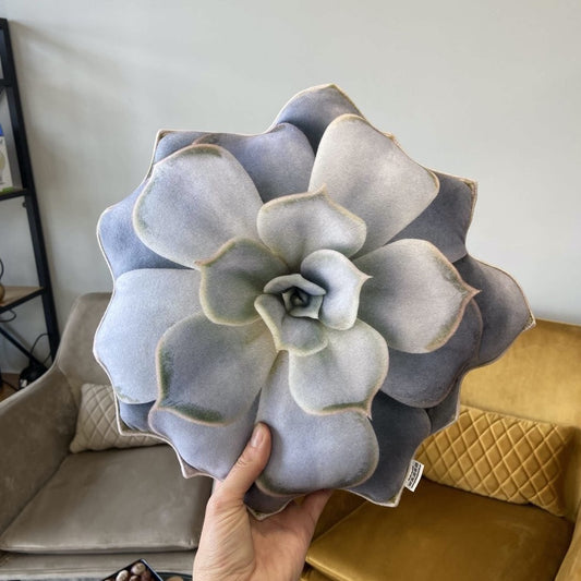echeveria pillow