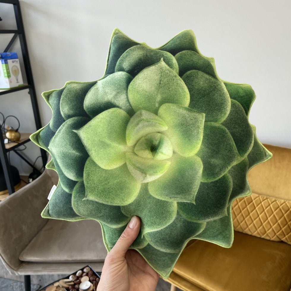 pillow plant succulent small size succulent green pillow / echeveria pillow / succulent cushi – Enjoy Pillows