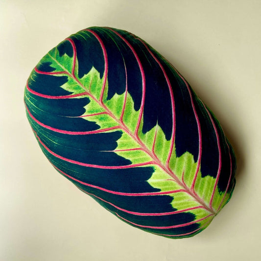 maranta pillow