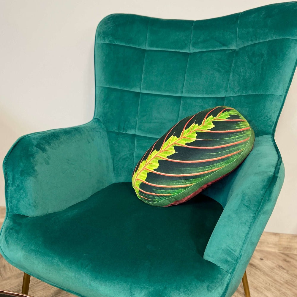 maranta cushion
