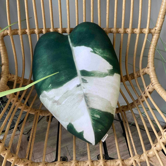 Philodendron White Princess pillow