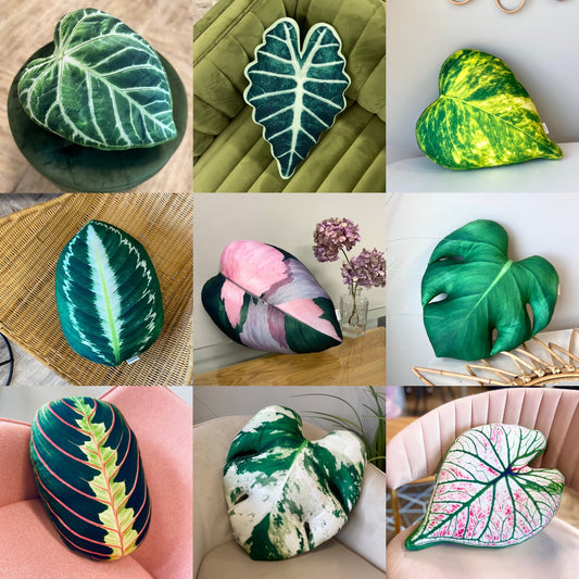 Enjoy Pillows Gift Card