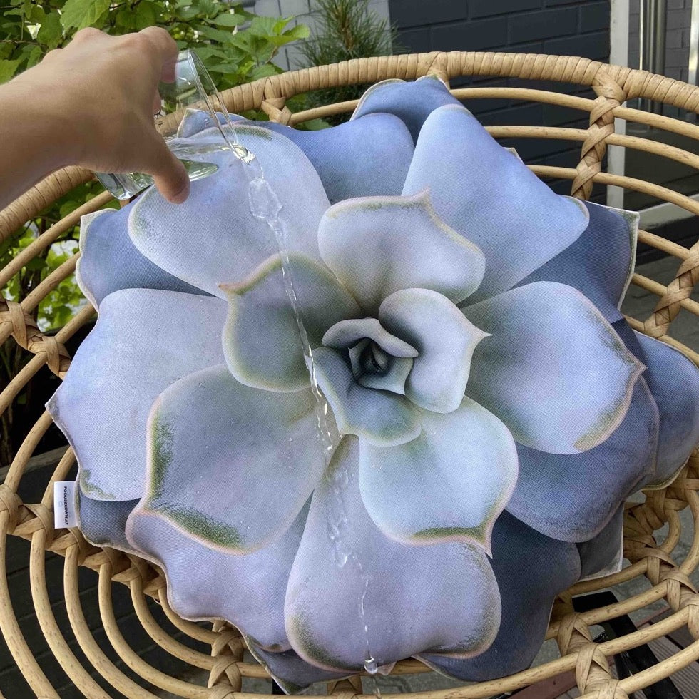pillow succulent plant Outdoor succulent pillow / Garden succulent pillow / Garden cushion / plant pillow