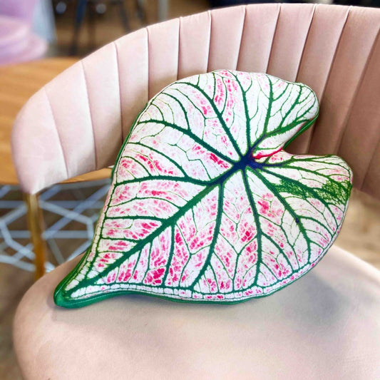 caladium pillow