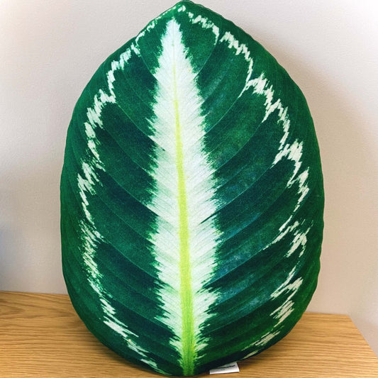 calathea pillow