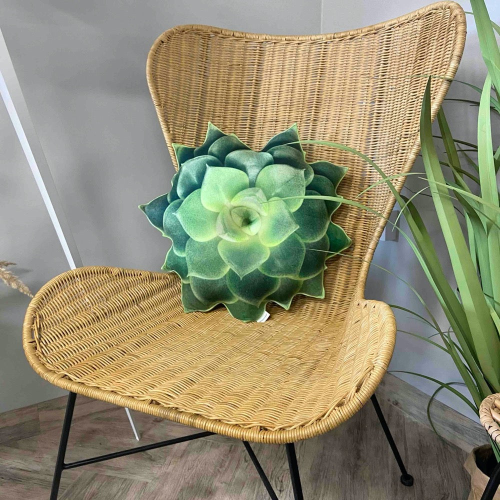 green succulent pillows