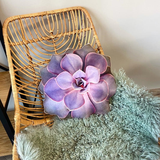 Echeveria perle von nürnberg pillow