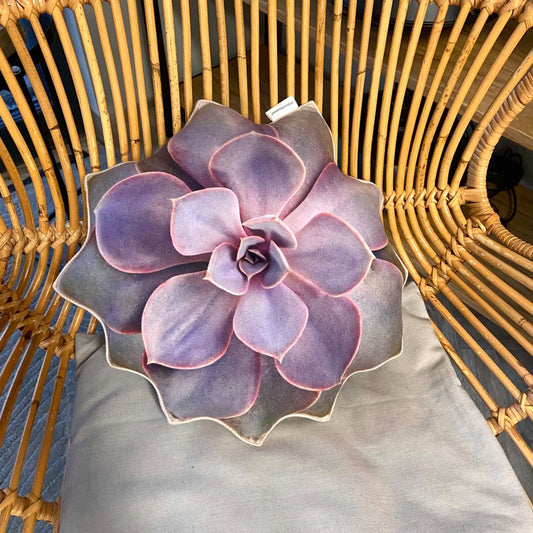 succulent echeveria pillow