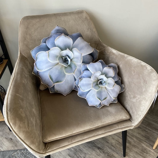 succulent pillows set