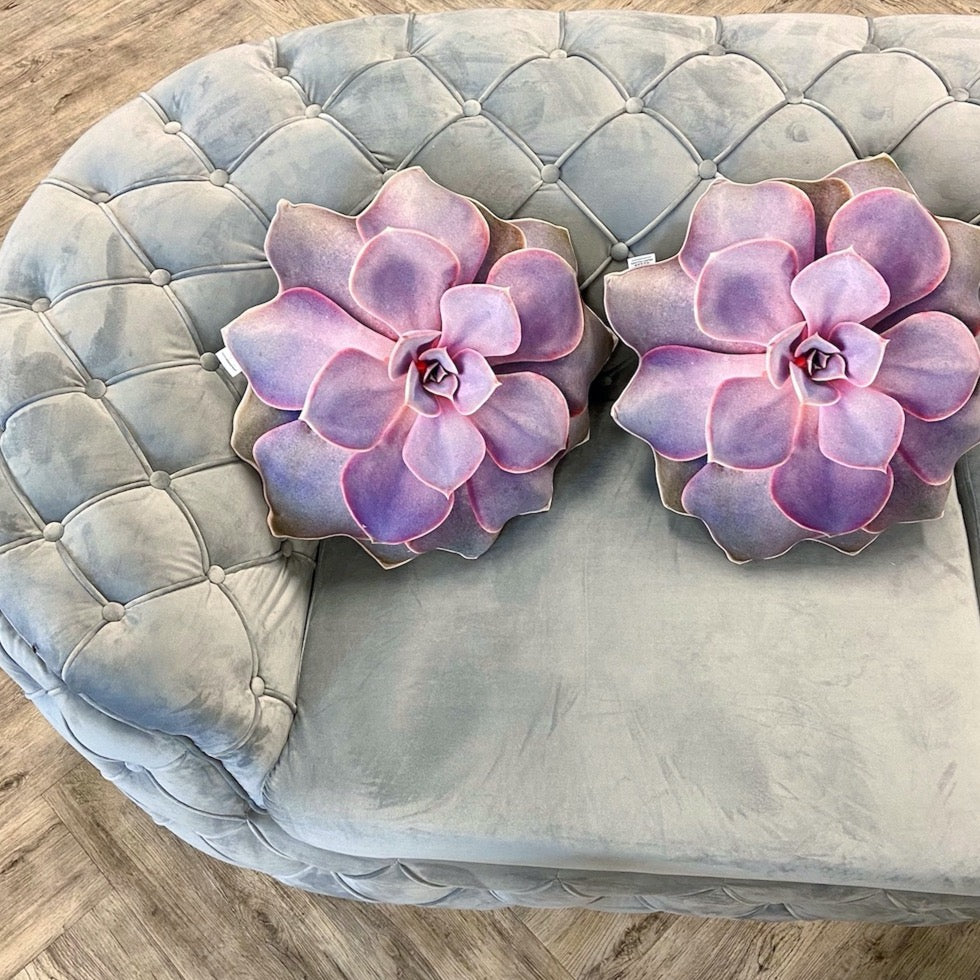 Succulents pillow