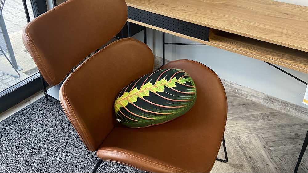 How to choose the best housewarming gift?