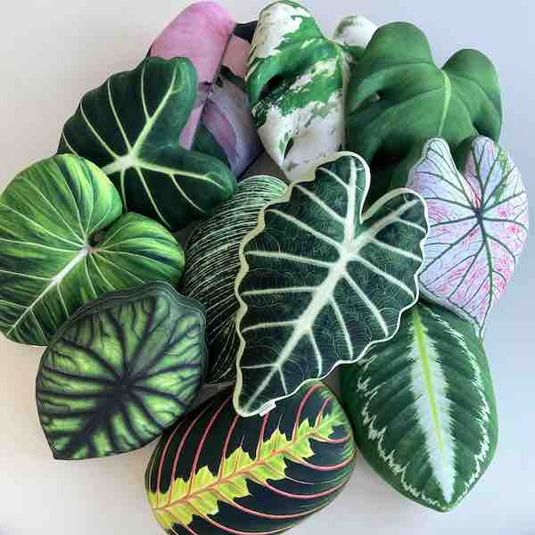 plant pillows enjoy pillows