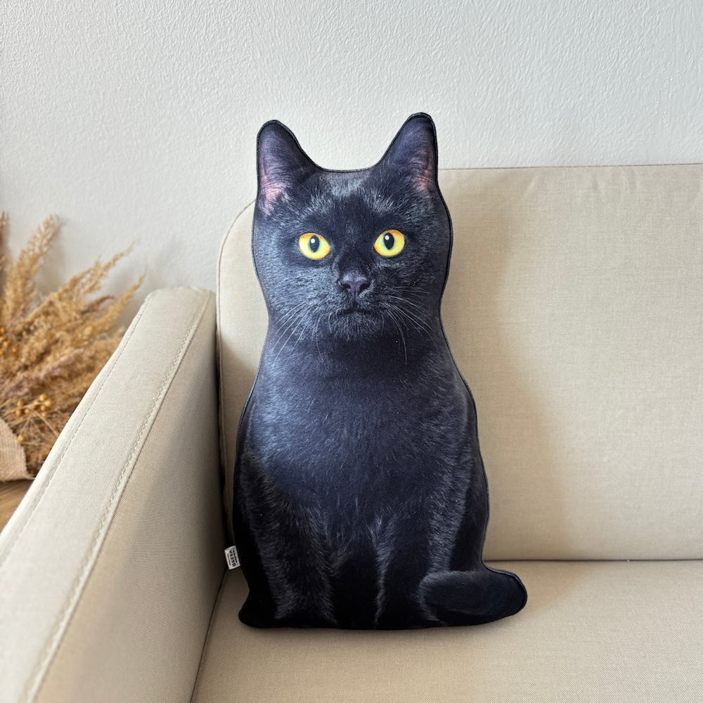 f14aaf7b361e19e2c4251ab20de33993