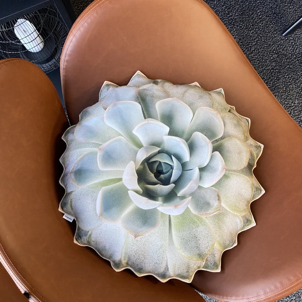 f4d1d6df15b04716dffde6ceb4a97d59