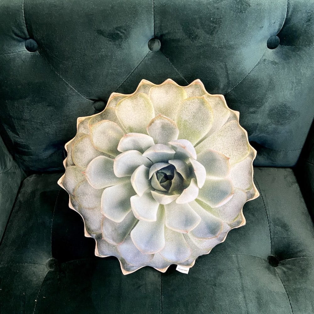 succulent plant pillows Succulent Echeveria pillow / bright green plant pillow / plant pillow small size