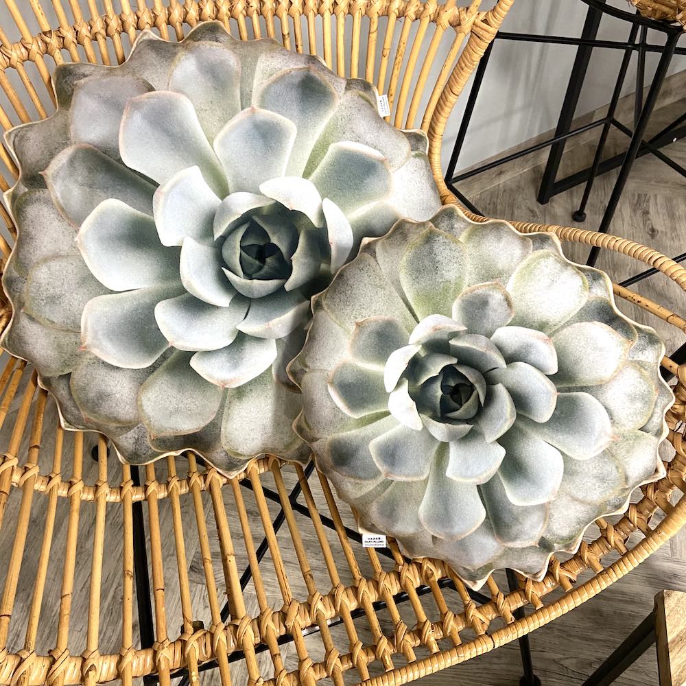 succulent plant pillows Succulent Echeveria pillow / plant pillow / bright Succulent cushion