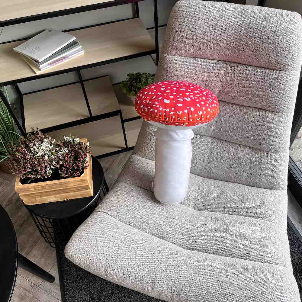 mushroom pillow