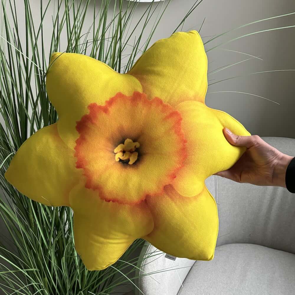 spring pillow