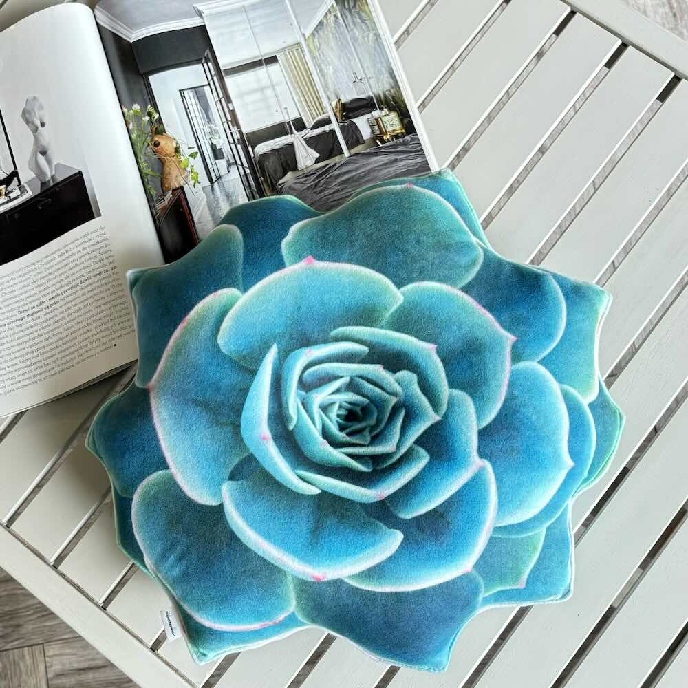 succulent cushion