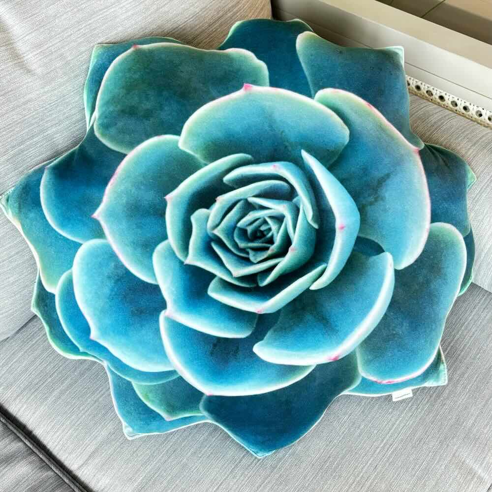 b084a3d946b02e9d870a1f5f71e8af57