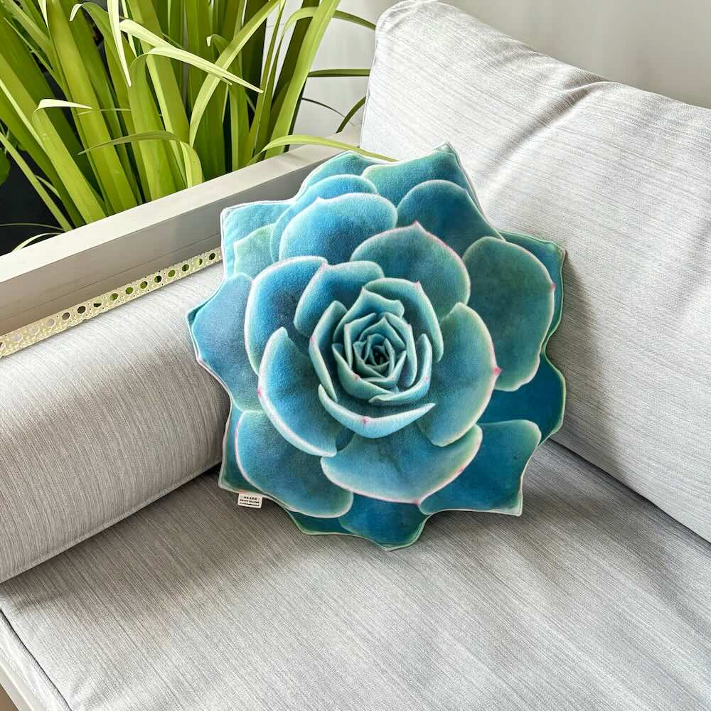 Succulent turquoise 