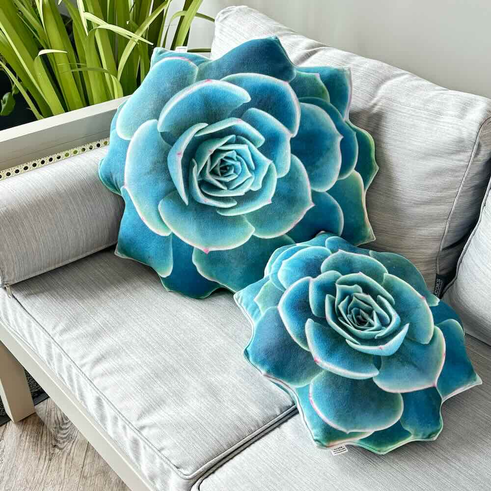 0a7163e2f76245209716497edd112a82