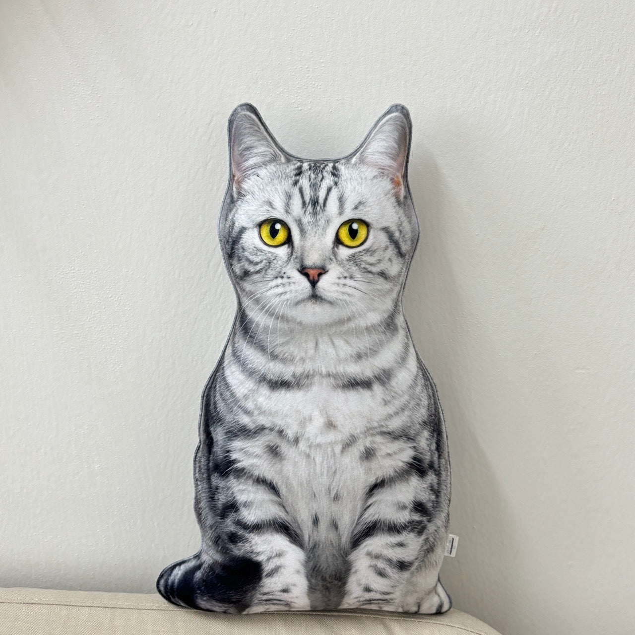 49c88f94b0414b787bfffaeff2ab18f6