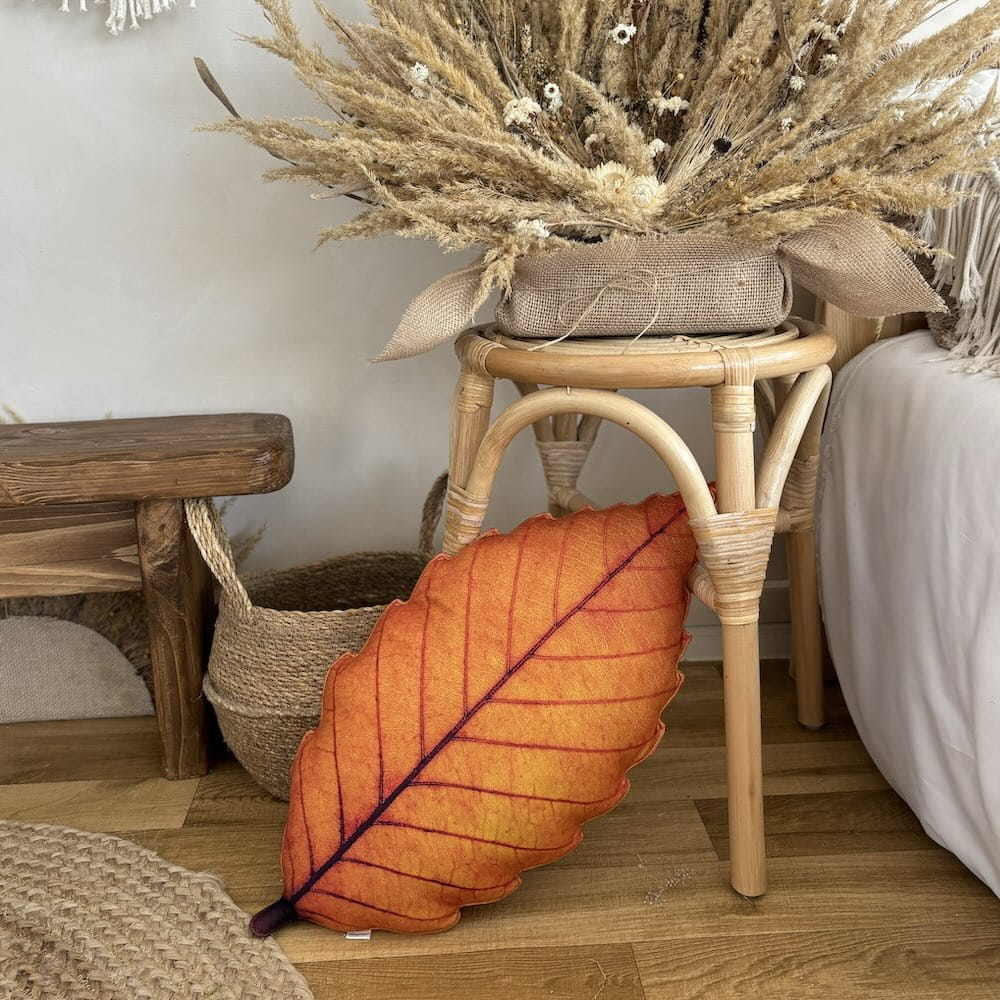 be35c44a874ea57448c0ca154c6cdf80