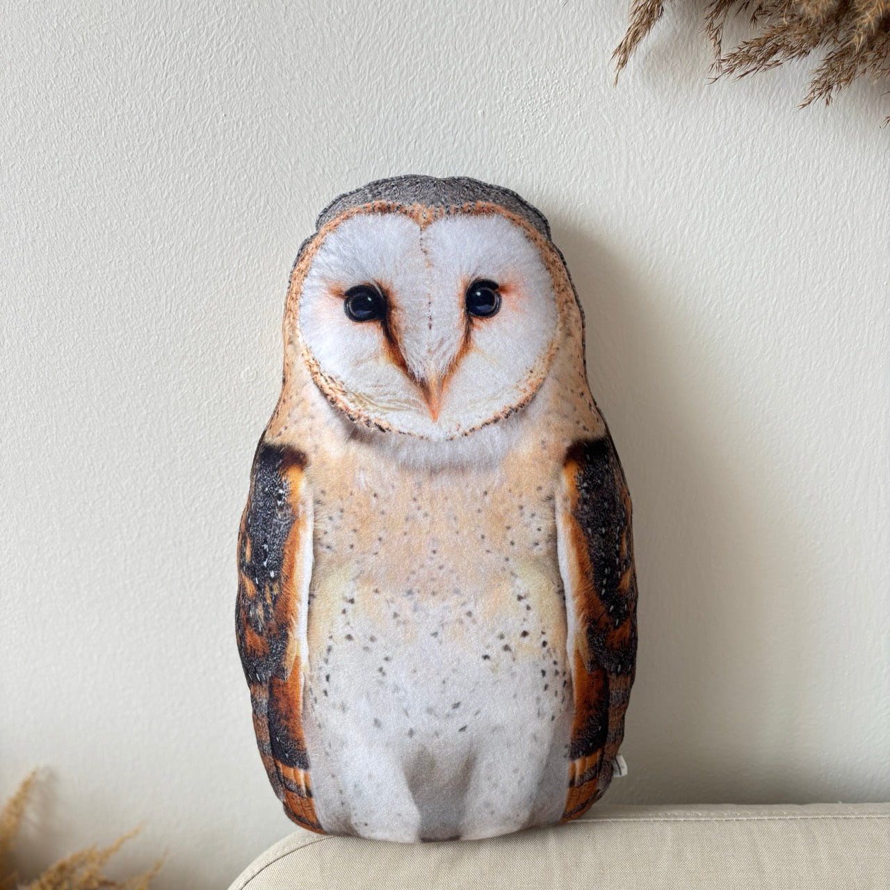 e87a6bbff9203b9d68cfb71b0978f564