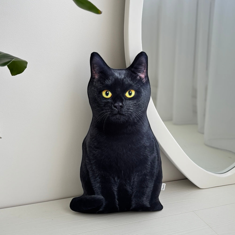 78f83504ca32e44fe42abfcbf1d16ccc